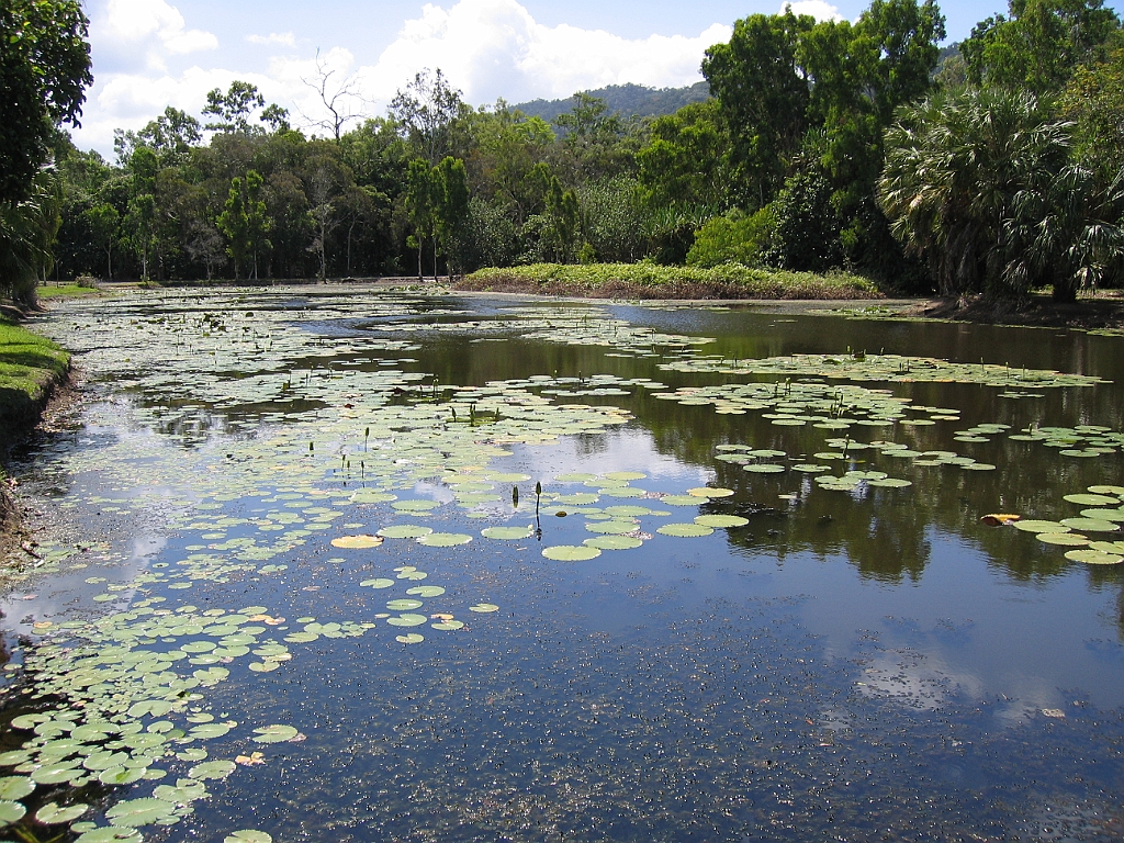 CairnsTC061 Centenary Lakes.jpg